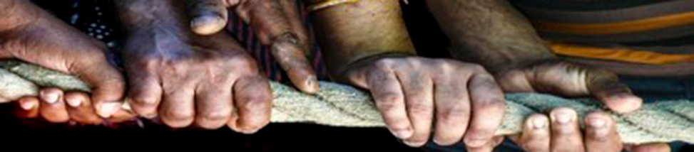 Cooperación Internacional